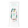 Antiperspirant Stick Peppermint Bark