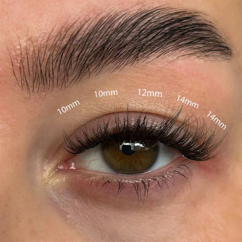 Lola's Lashes Fluffy Russian DIY Lash Extension Set